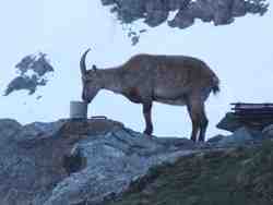 Cliquer pour agrandir l'image (800x600 pixels; 56 KB)