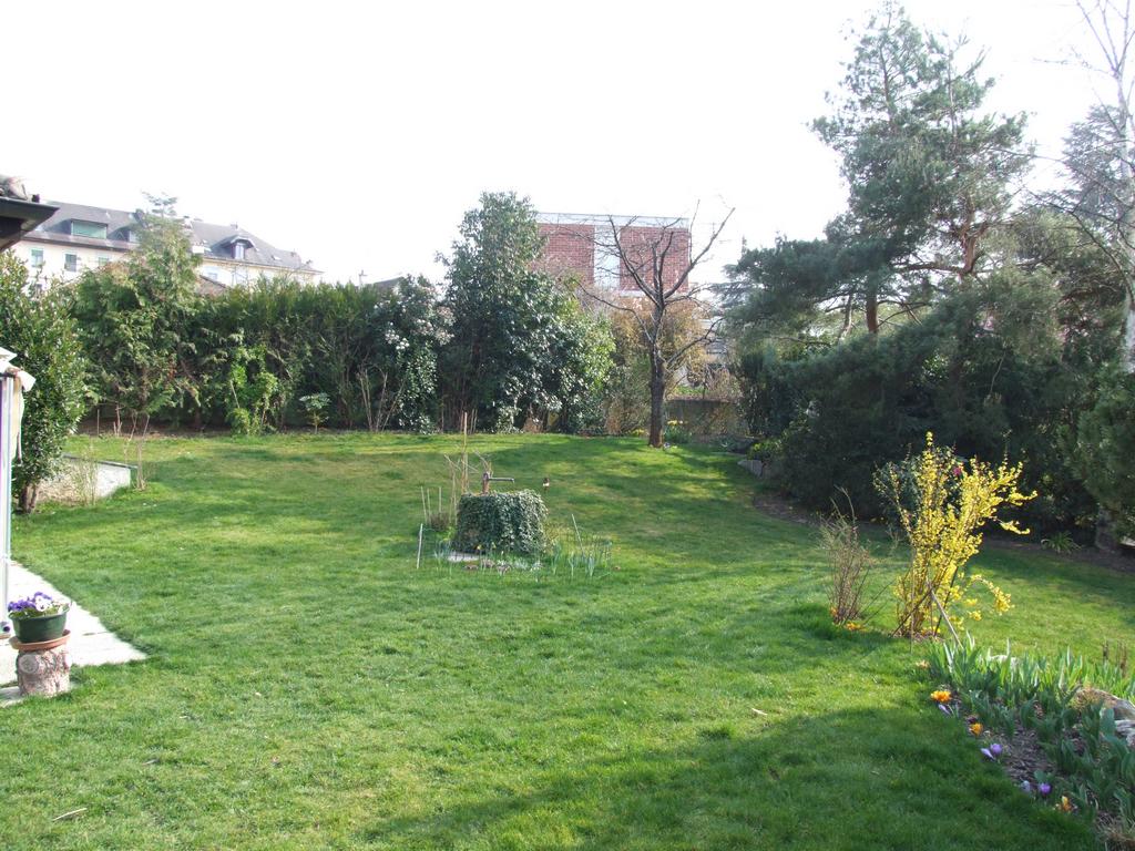 Cliquer pour voir l'image suivante