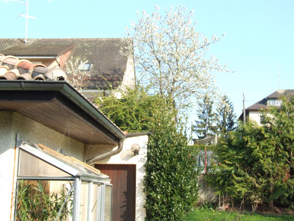 Cliquer pour voir l'image suivante