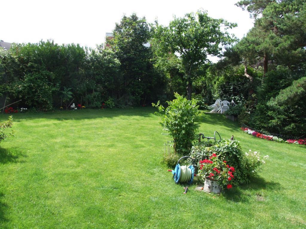 Cliquer pour voir l'image suivante