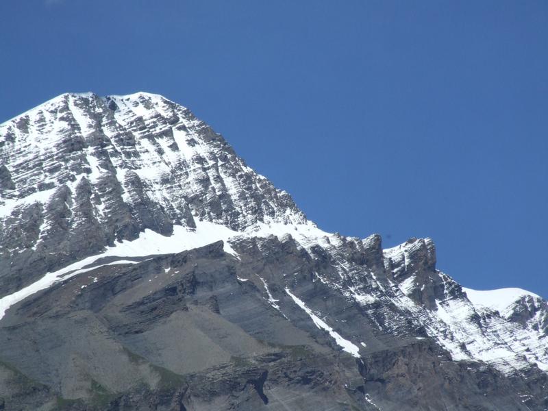 Cliquer pour voir l'image suivante