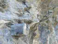 Clic pour agrandir l'îmage (1024x768 pixels; 162 KB)