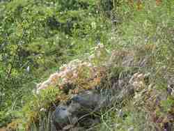 Cliquer pour agrandir l'image (800x600 pixels; 141 KB)