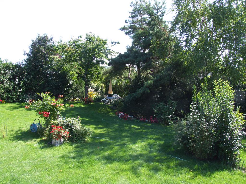 Cliquer pour voir l'image suivante