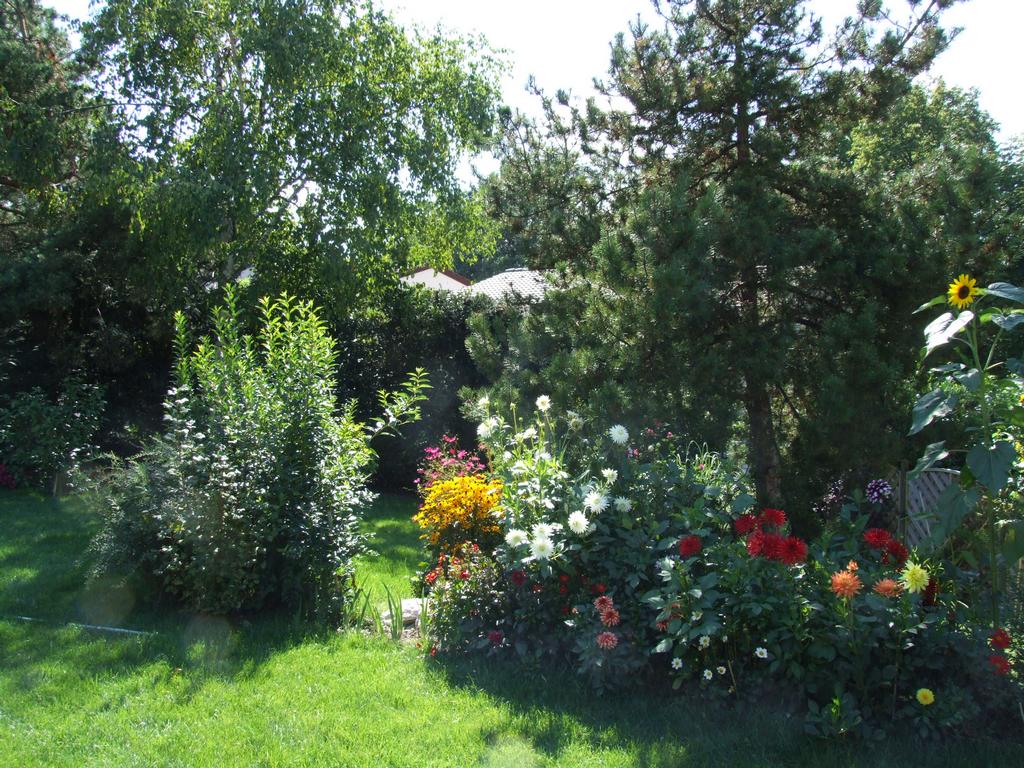 Cliquer pour voir l'image suivante