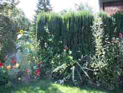 Cliquer pour agrandir l'image (1024x768 pixels; 206 KB)