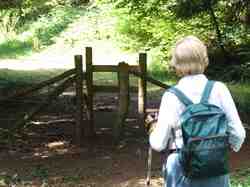 Clic pour agrandir l'îmage (1024x768 pixels; 158 KB)