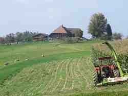 Clic pour agrandir l'îmage (1024x768 pixels; 130 KB)