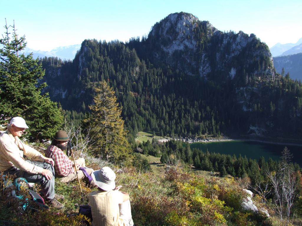 Clic pour voir l'image suivante