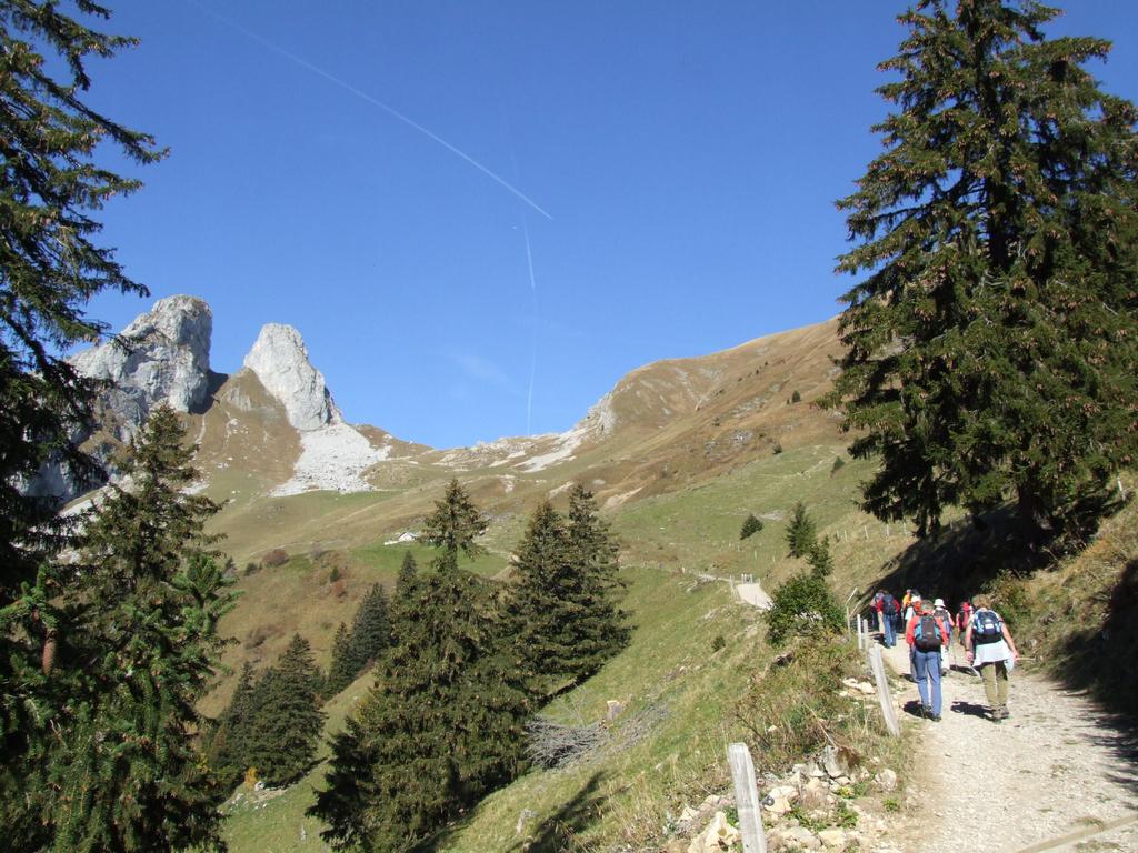 Clic pour voir l'image suivante