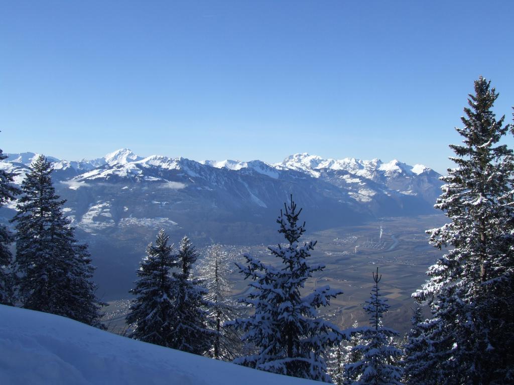 Clic pour voir l'image suivante