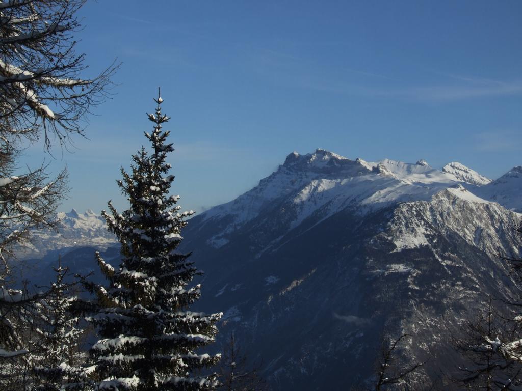 Clic pour voir l'image suivante