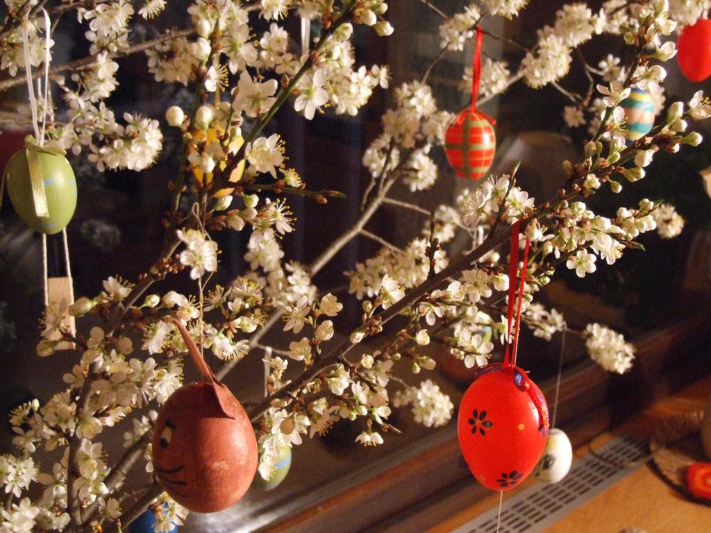 Clic pour voir l'image suivante