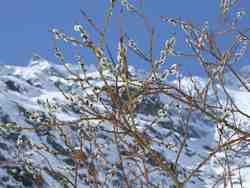 Clic pour agrandir l'�mage (1024x768 pixels; 127 KB)