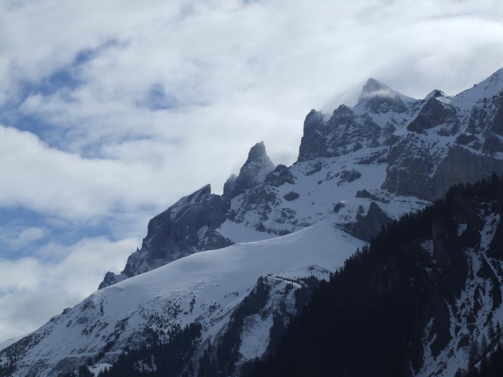 Clic pour voir l'image suivante