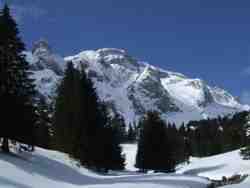 Clic pour agrandir l'�mage (800x600 pixels; 45 KB)