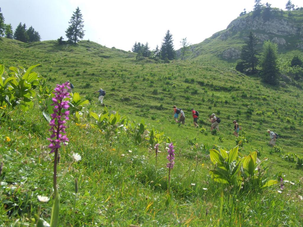 Pour l'image suivante