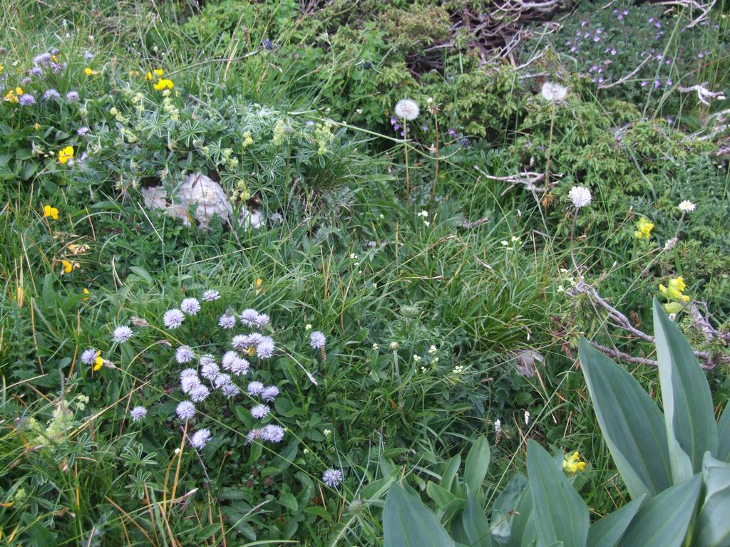 Pour l'image suivante