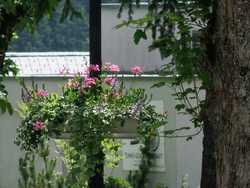 Clic pour agrandir l'îmage (2816x2112 pixels; 17424 KB)