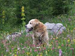 Clic pour agrandir l'îmage (1024x768 pixels; 210 KB)