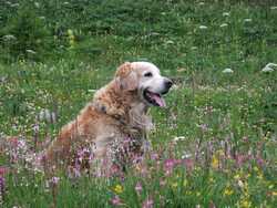 Clic pour agrandir l'îmage (1024x768 pixels; 203 KB)