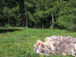 Clic pour agrandir l'�mage (1024x768 pixels; 247 KB)