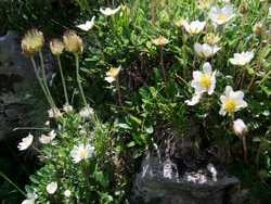 Clic pour agrandir l'�mage (1024x768 pixels; 221 KB)