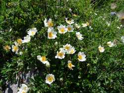 Clic pour agrandir l'�mage (1024x768 pixels; 243 KB)