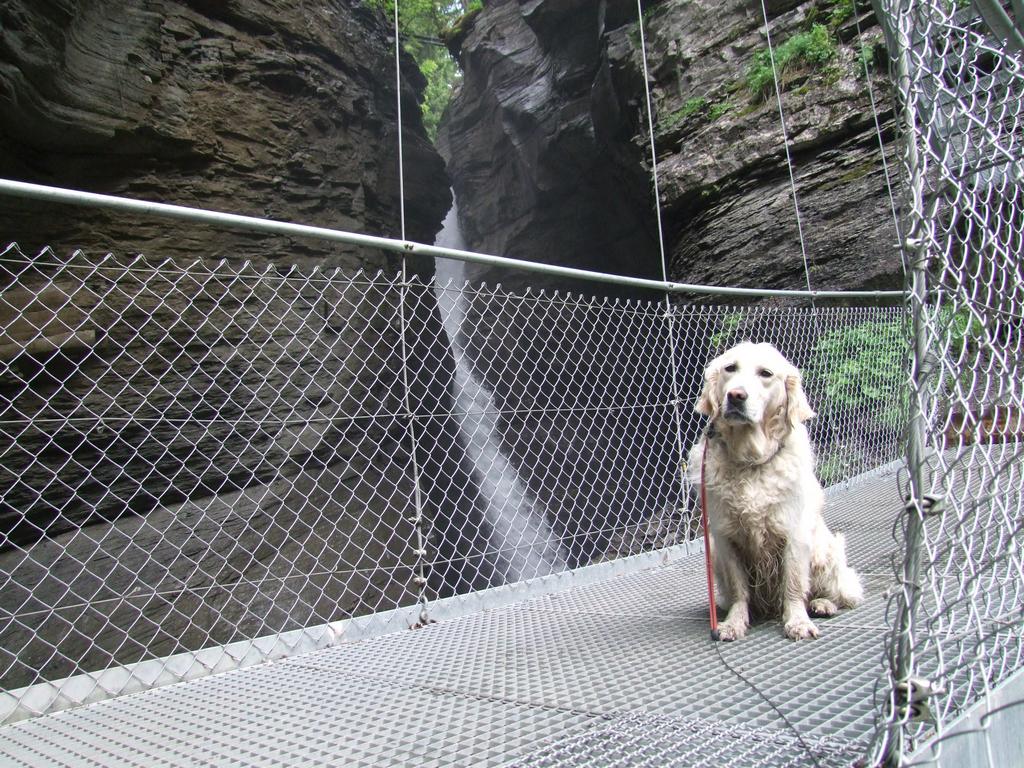 Clic pour voir l'image suivante