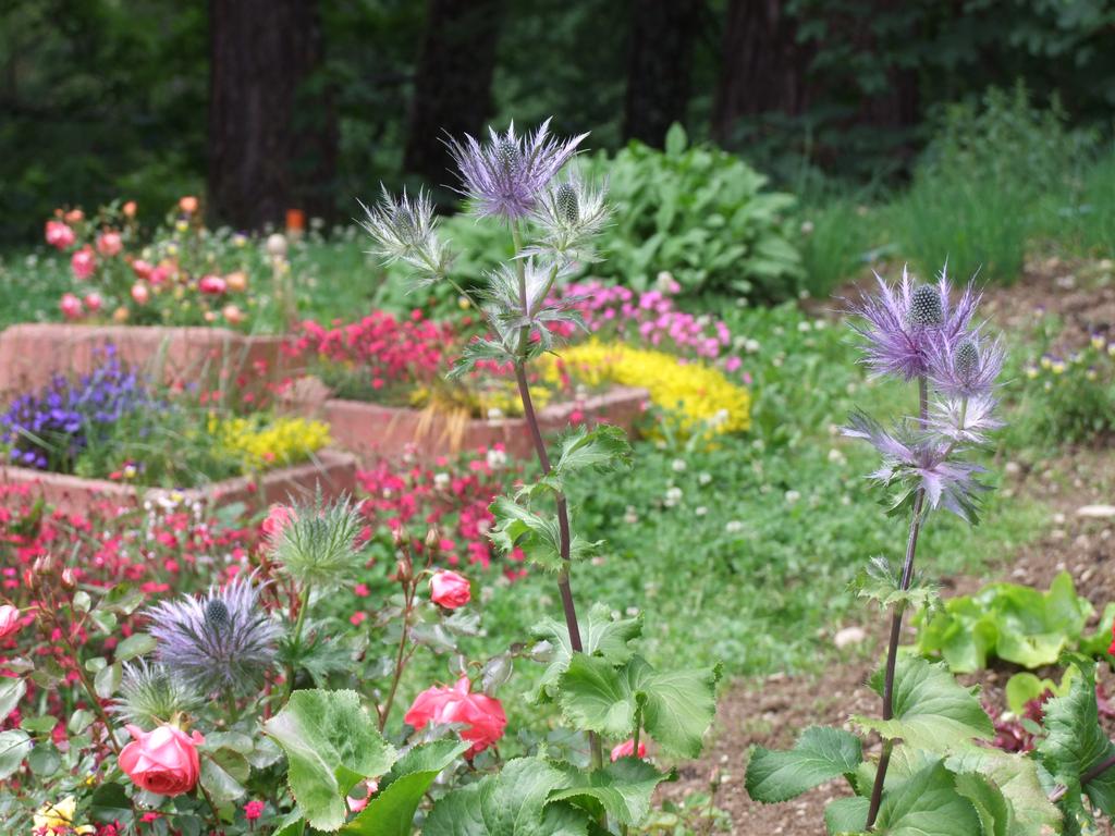 Clic pour voir l'image suivante