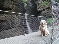 Clic pour agrandir l'�mage (1024x768 pixels; 252 KB)