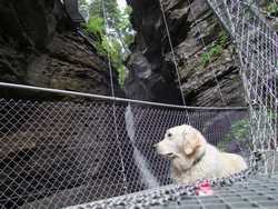 Clic pour agrandir l'�mage (1024x768 pixels; 237 KB)