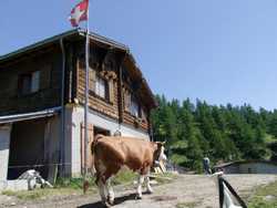 Clic pour agrandir l'mage (800x600 pixels; 95 KB)