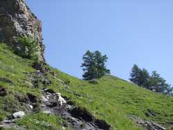 Clic pour agrandir l'�mage (1024x768 pixels; 161 KB)