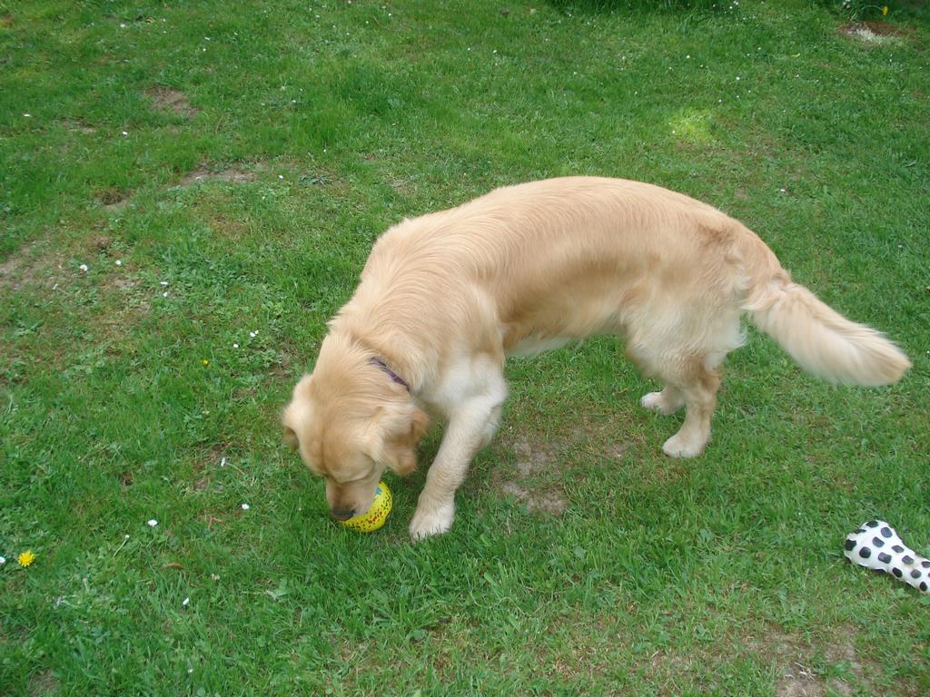 Pour l'image suivante