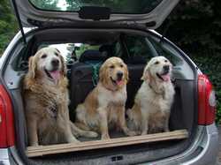 Pour agrandir l'image (1024x768 pixels; 136 KB)