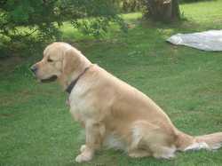 Pour agrandir l'image (1024x768 pixels; 120 KB)