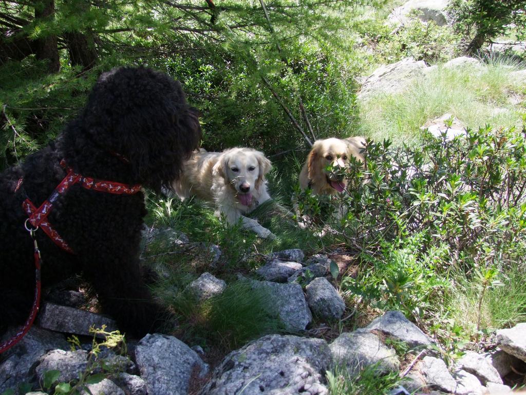 Pour l'image suivante