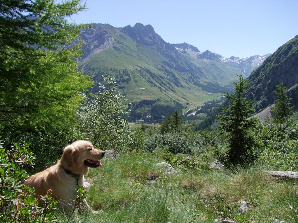 Pour l'image suivante