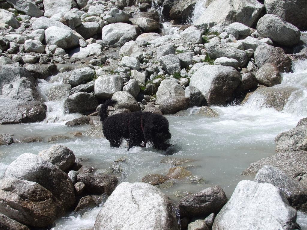 Pour l'image suivante