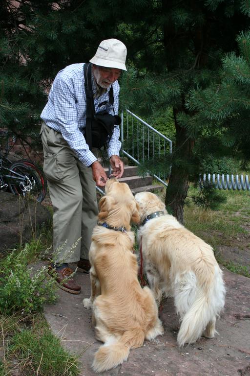 Pour l'image suivante