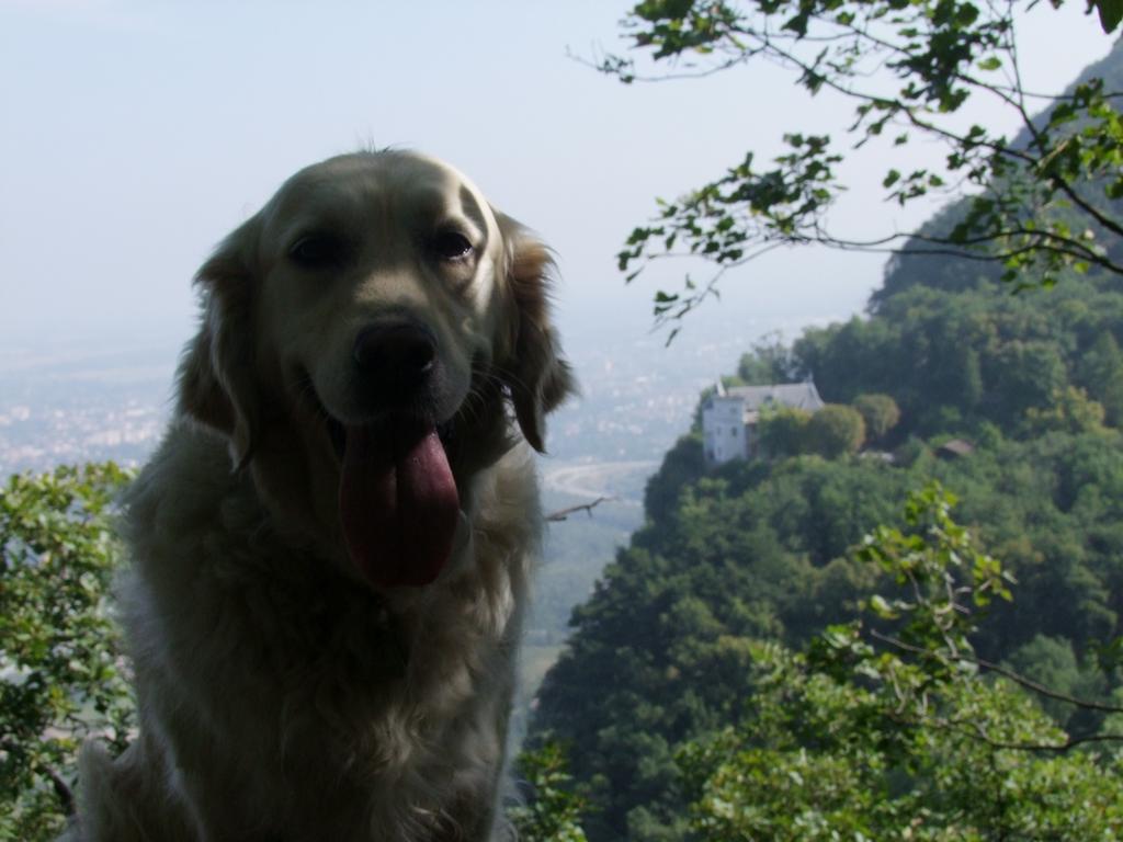 Pour l'image suivante