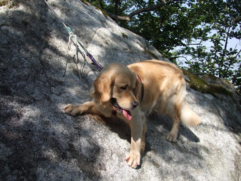 Pour l'image suivante