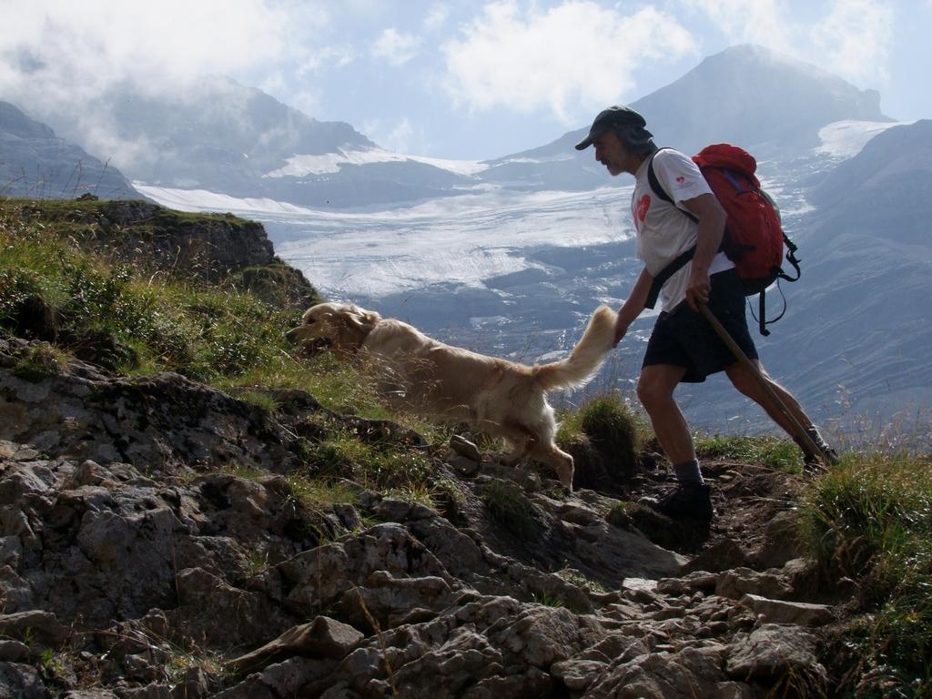 Pour l'image suivante