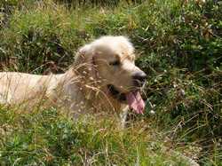 Pour agrandir l'image (1024x768 pixels; 257 KB)