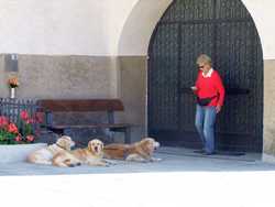 Pour agrandir l'image (1024x768 pixels; 96 KB)