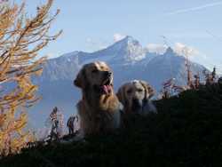 Pour agrandir l'image (1024x768 pixels; 111 KB)