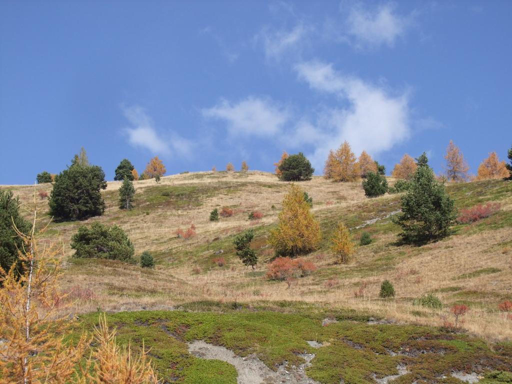 Pour l'image suivante