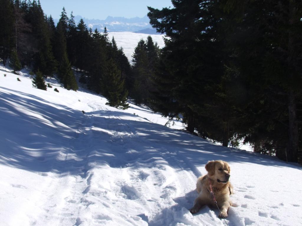 Pour l'image suivante