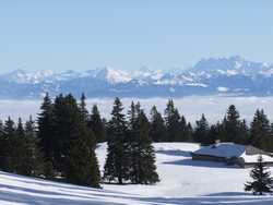 Pour agrandir l'image (1024x768 pixels; 118 KB)